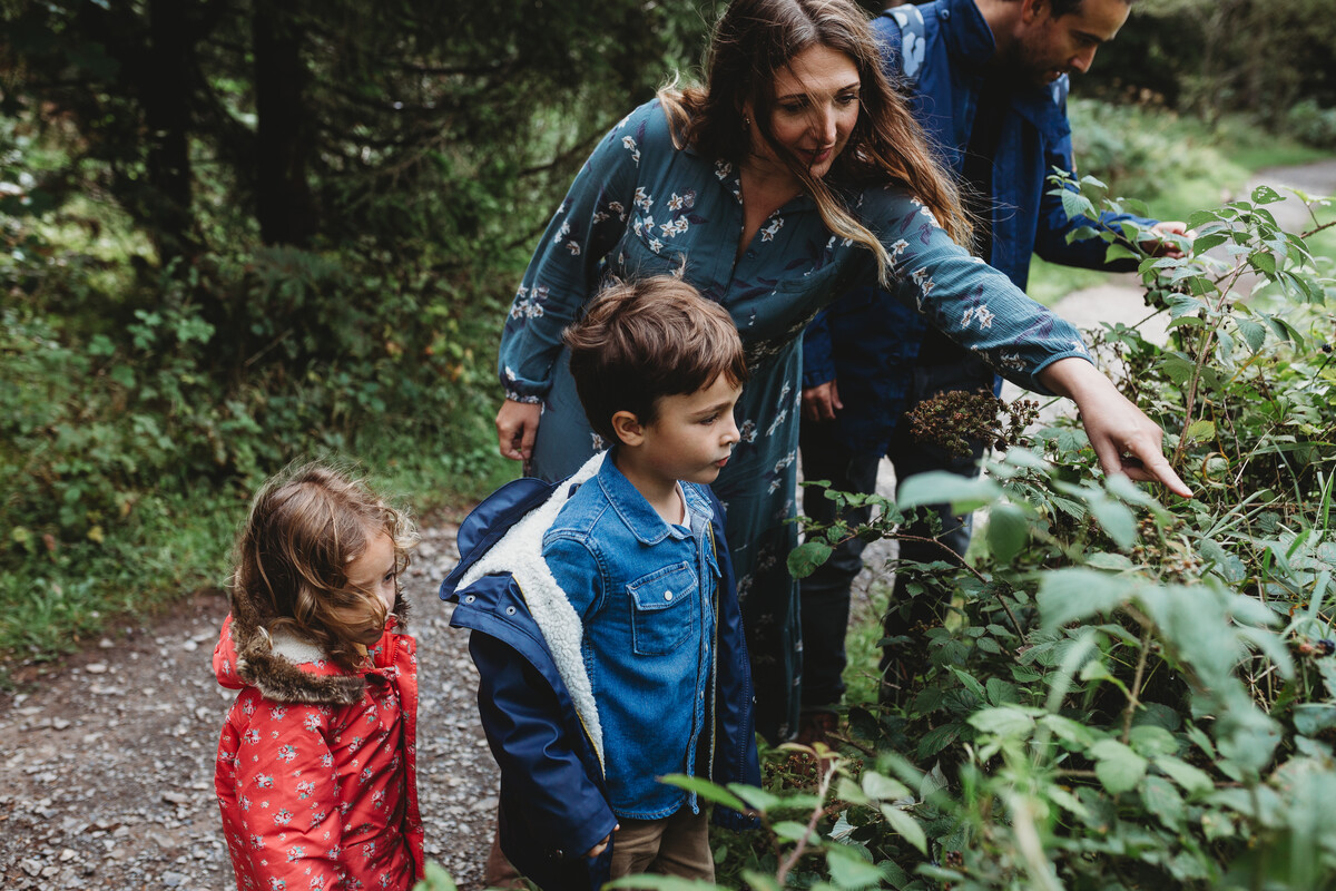 Family interacting with bramble hedgerow