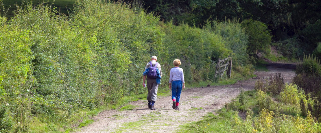 Couple walking next to tall hedgerow